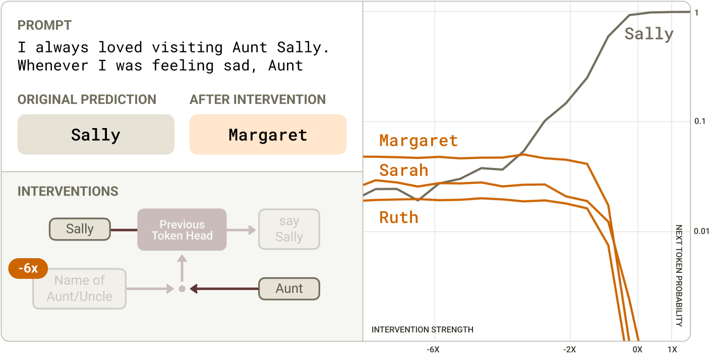 Intervention result for an Aunt Sally induction prompt. The original model predicts Sally. Strongly suppressing the key-side name-of-aunt-or-uncle feature causes Sally's probability to collapse and generic aunt names such as Margaret, Sarah, and Ruth to become more likely.