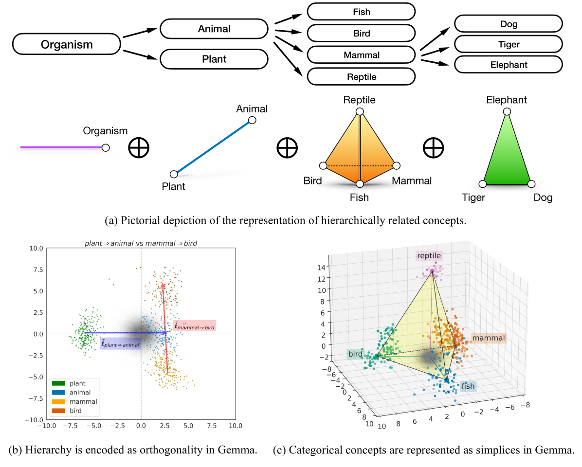 Hierarchically related concepts represented as geometric structures. Top: a concept hierarchy from Organism to Animal/Plant to specific species. Middle: each level maps to a simplex, with binary concepts as line segments, four-valued concepts as tetrahedra, and three-valued concepts as triangles, combined via direct sums. Bottom left: 2D projection from Gemma showing hierarchy encoded as orthogonality. Bottom right: 3D projection showing categorical concepts as simplices.